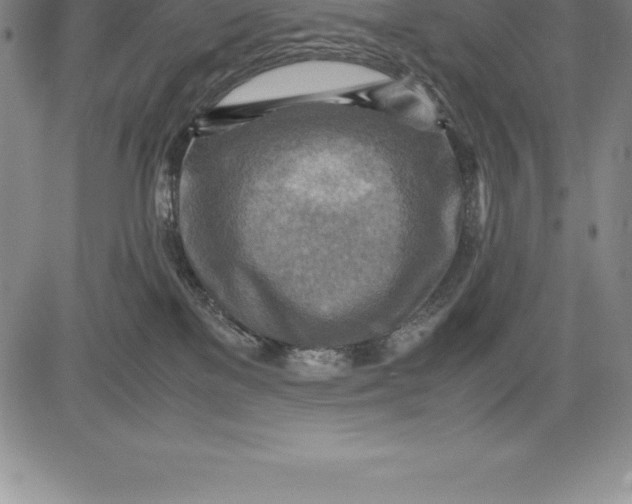 X0000083620137200703051619