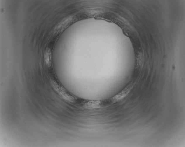 X0000083620138200703051619