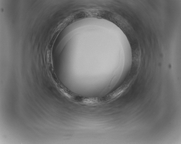 X0000083620139200703051619