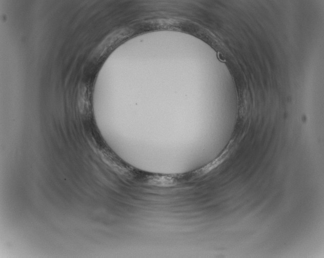 X0000083620140200703051619