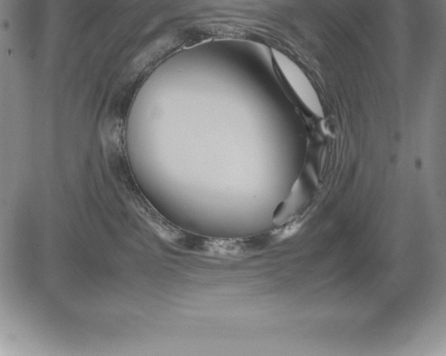 X0000083620141200703051619