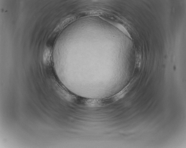 X0000083620142200703051619