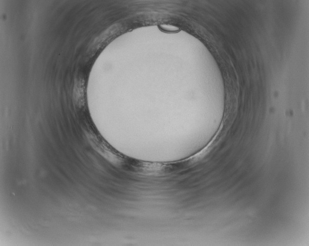 X0000083620144200703051619