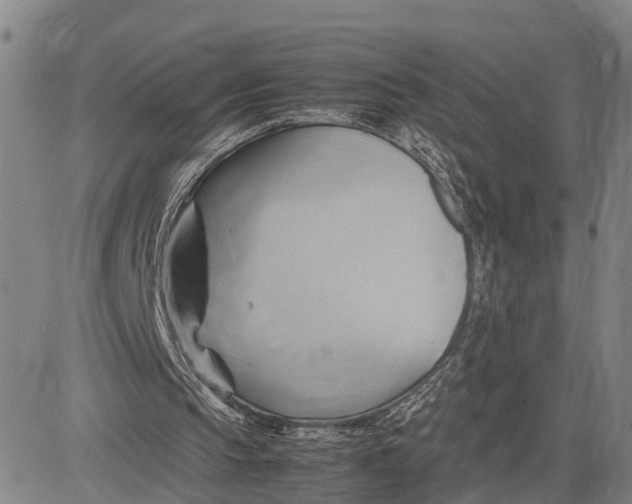 X0000083620145200703051618