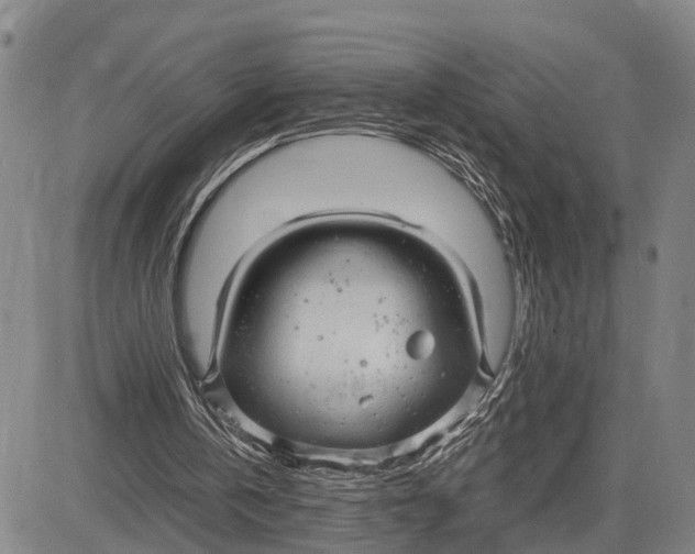 X0000083620146200703051618