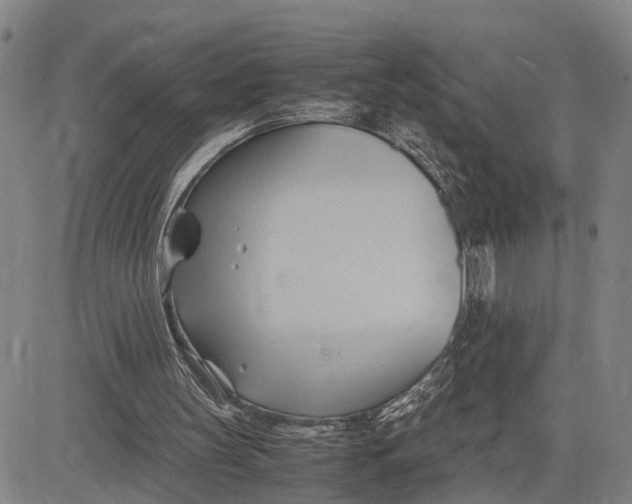 X0000083620147200703051618