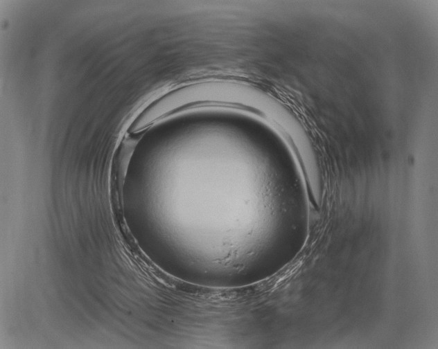 X0000083620148200703051618