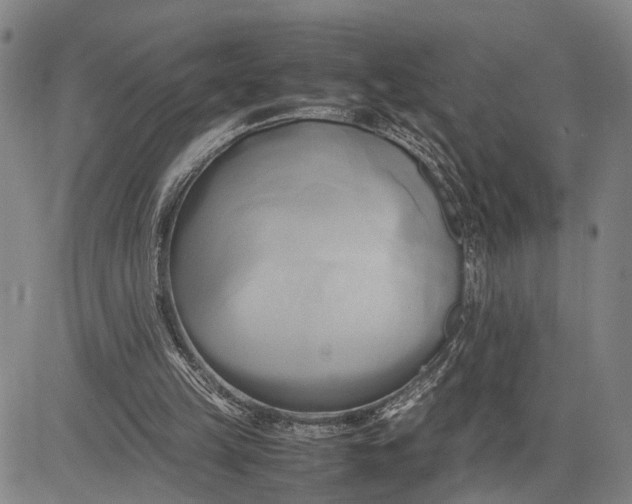 X0000083620149200703051618