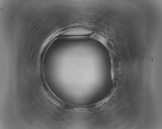 X0000083620150200703051618