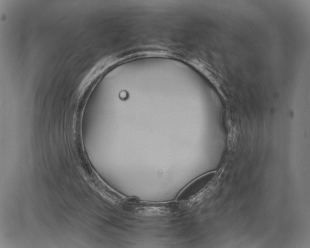 X0000083620151200703051618