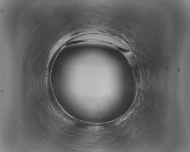 X0000083620152200703051618