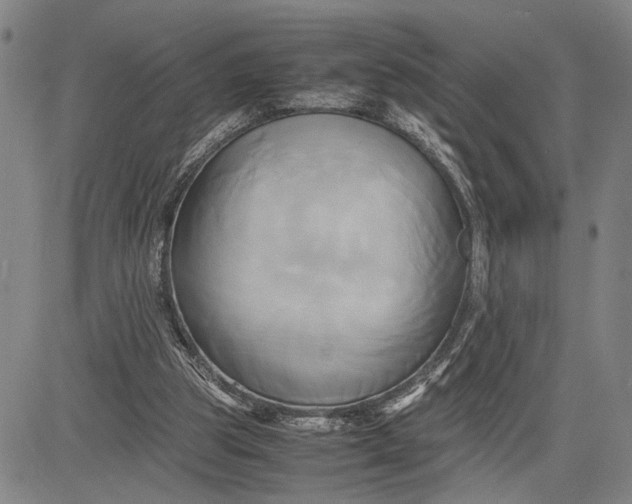 X0000083620153200703051618