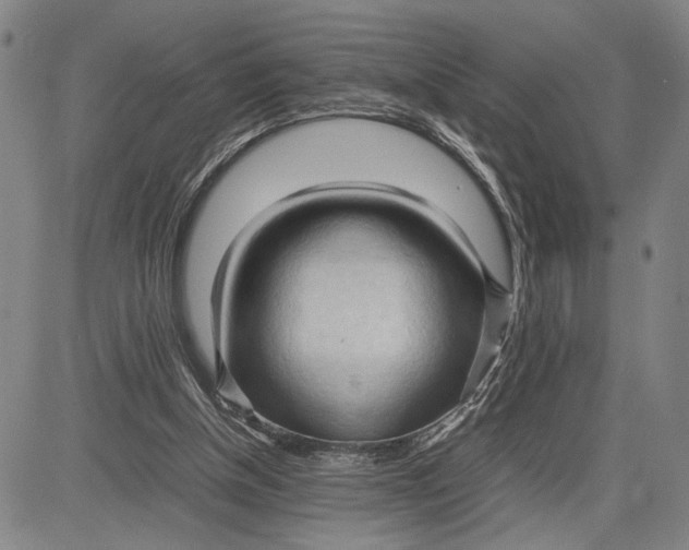 X0000083620154200703051618