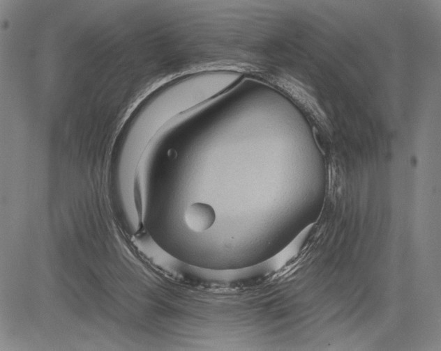 X0000083620156200703051618