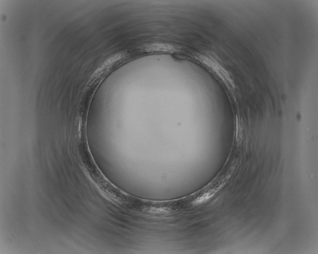 X0000083620157200703051618