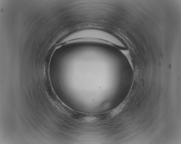 X0000083620158200703051618