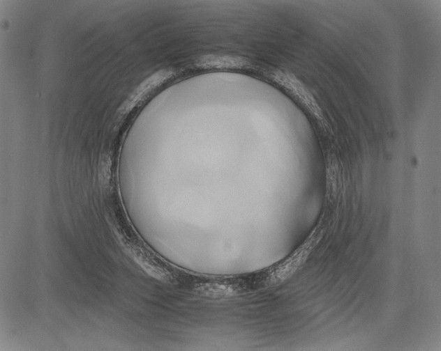 X0000083620159200703051618