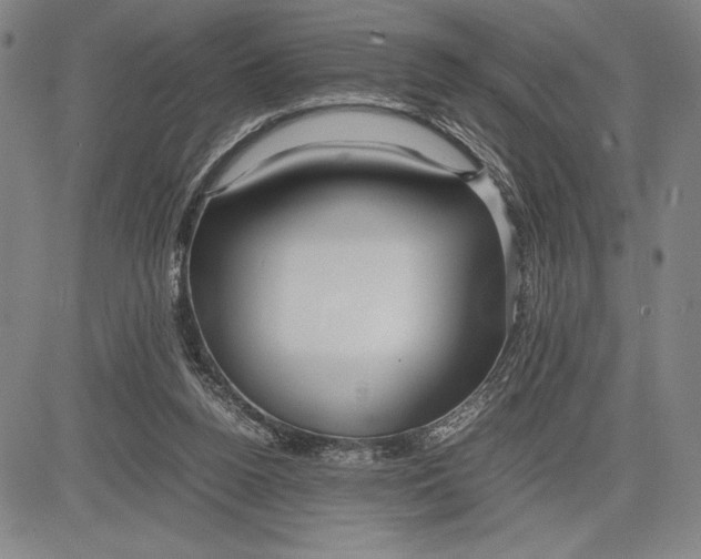 X0000083620160200703051618