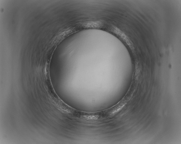 X0000083620161200703051618