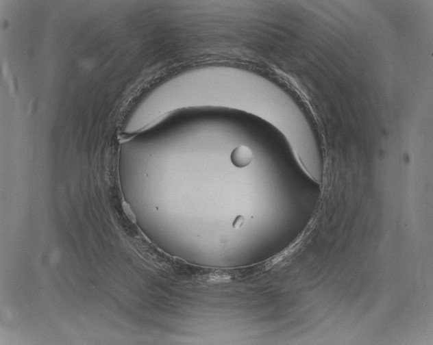 X0000083620162200703051618