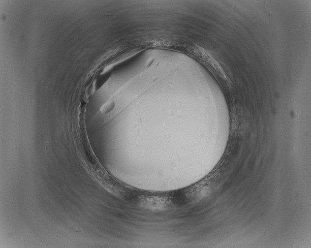 X0000083620163200703051618