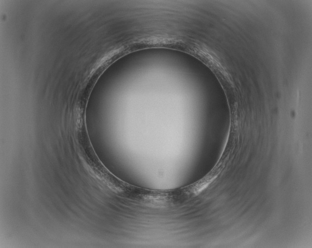 X0000083620164200703051618