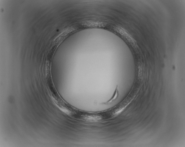 X0000083620165200703051618