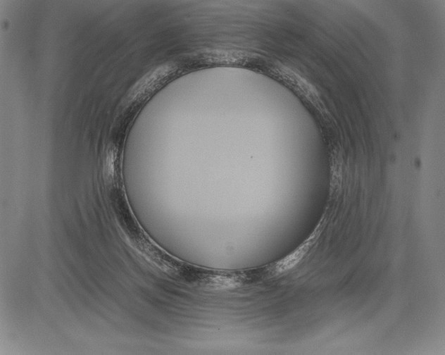 X0000083620166200703051618