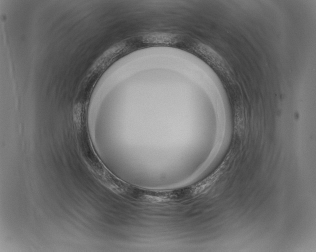 X0000083620167200703051618