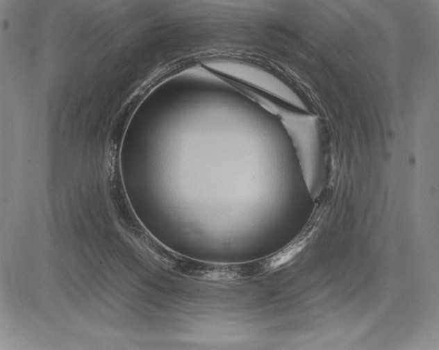 X0000083620168200703051618