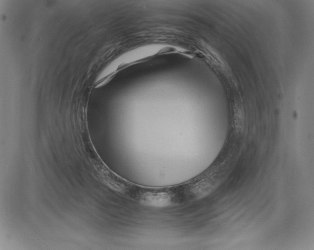 X0000083620169200703051618