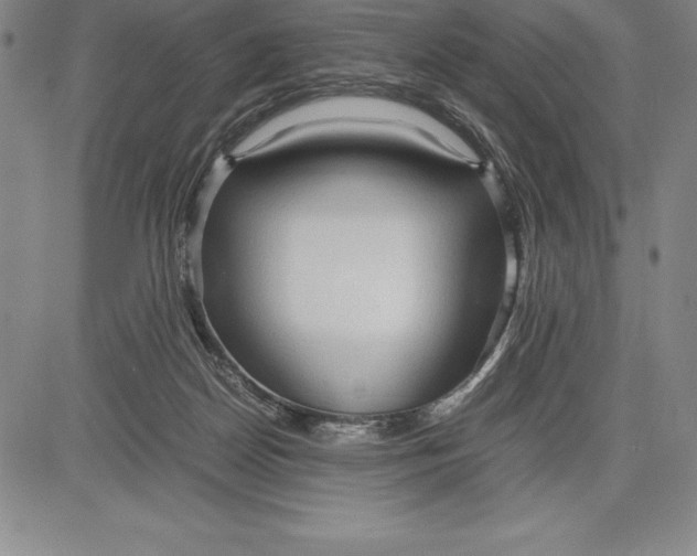 X0000083620170200703051618