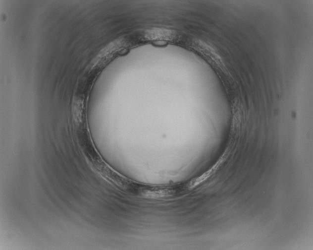 X0000083620171200703051618