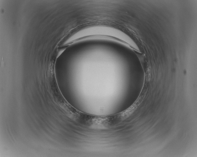 X0000083620172200703051618