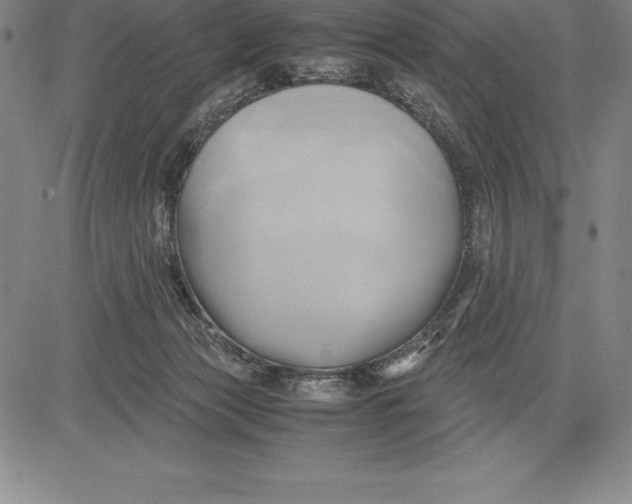 X0000083620173200703051618