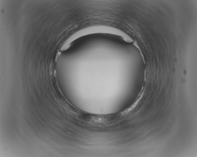 X0000083620174200703051618