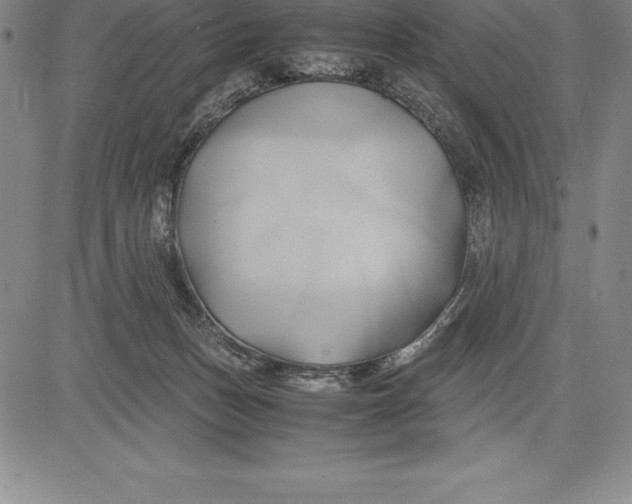 X0000083620175200703051618