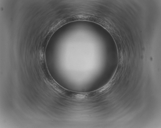 X0000083620176200703051618