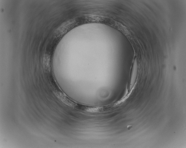 X0000083620178200703051618