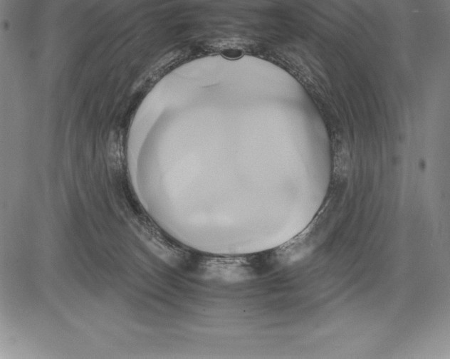 X0000083620179200703051618