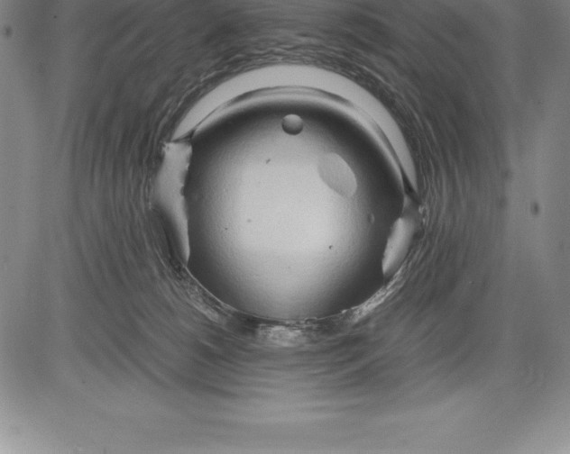 X0000083620180200703051618