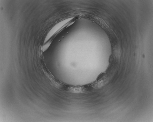 X0000083620181200703051618