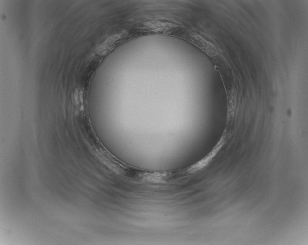 X0000083620182200703051618