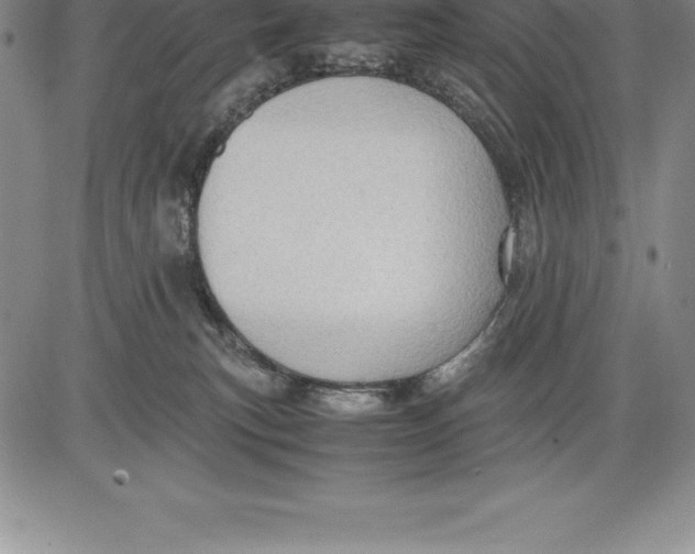 X0000083620183200703051619