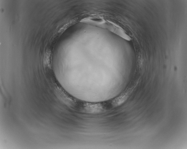 X0000083620185200703051619