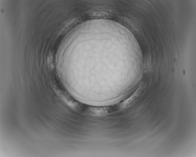 X0000083620187200703051619