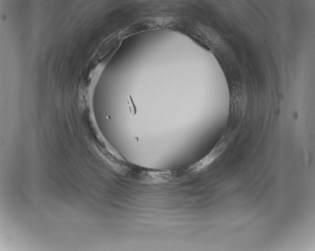 X0000083620188200703051619