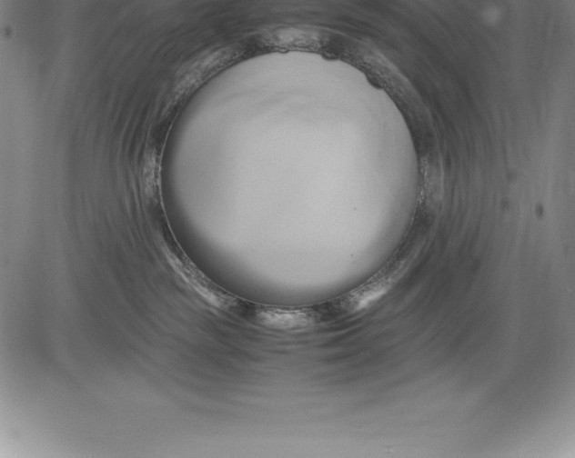 X0000083620189200703051619