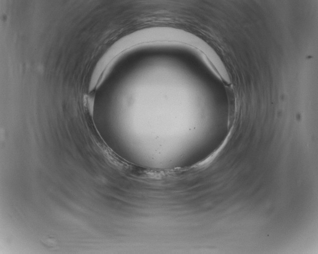 X0000083620190200703051619