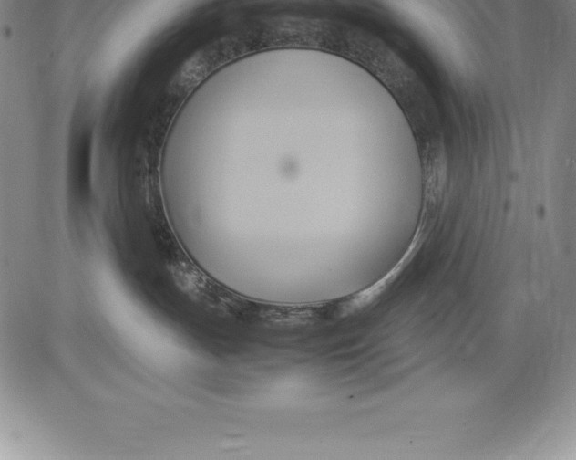 X0000083620191200703051619